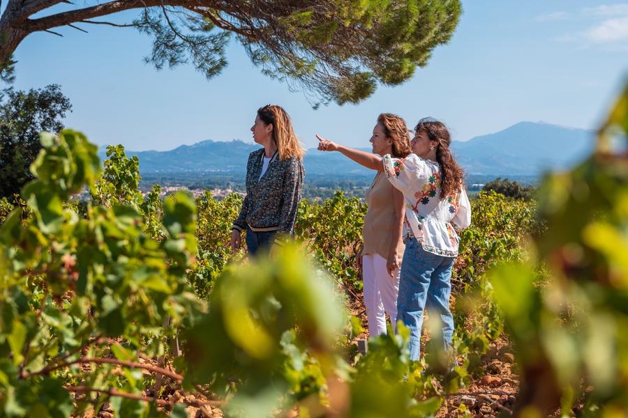 Balade dans le vignoble de Châteauneuf-du-Pape_Courthézon