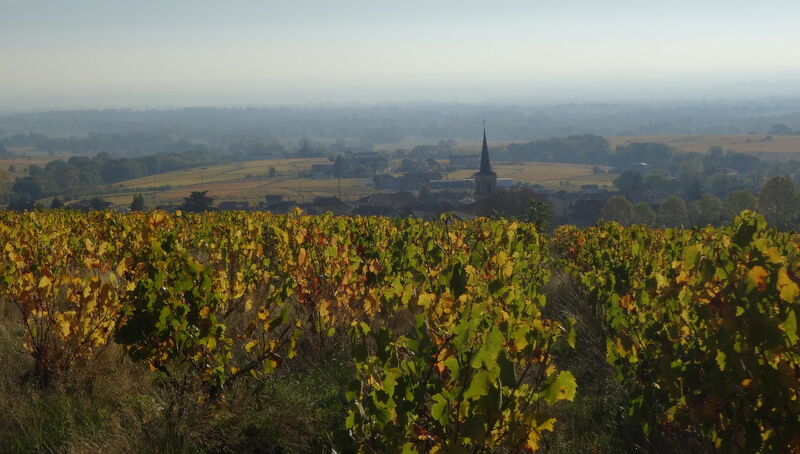 Saint-Etienne des Oulières