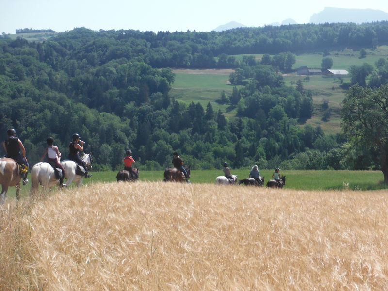 Centre équestre Le Domino