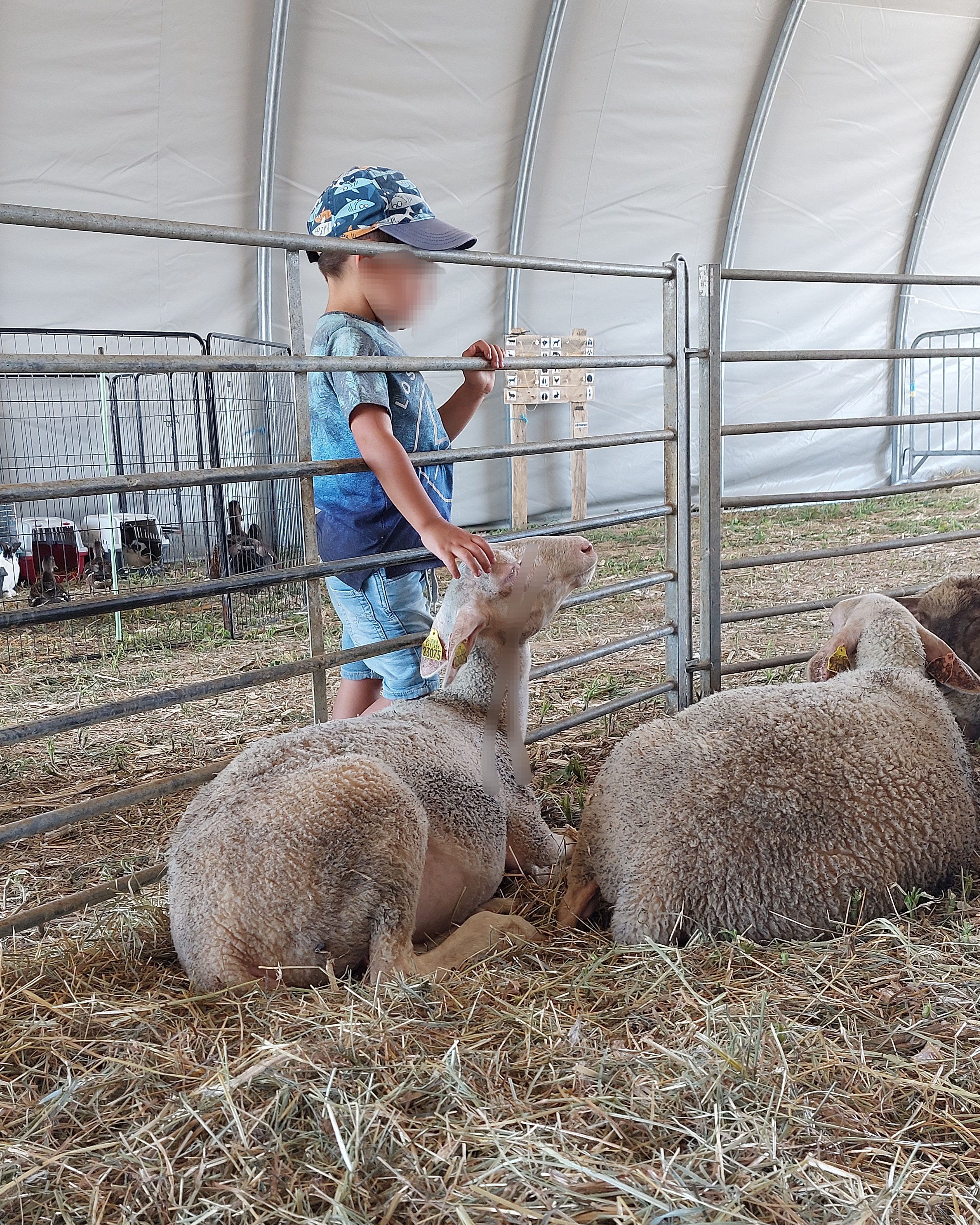 Ferme Rigaud