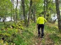 Randonnée organisée_Aveizieux