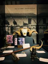 Exposition - Légendes foréziennes_Andrézieux-Bouthéon