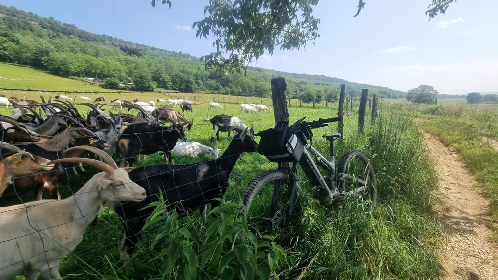 Circuit VTT n°7 (rouge) - Drom - Villereversure_Simandre-sur-Suran