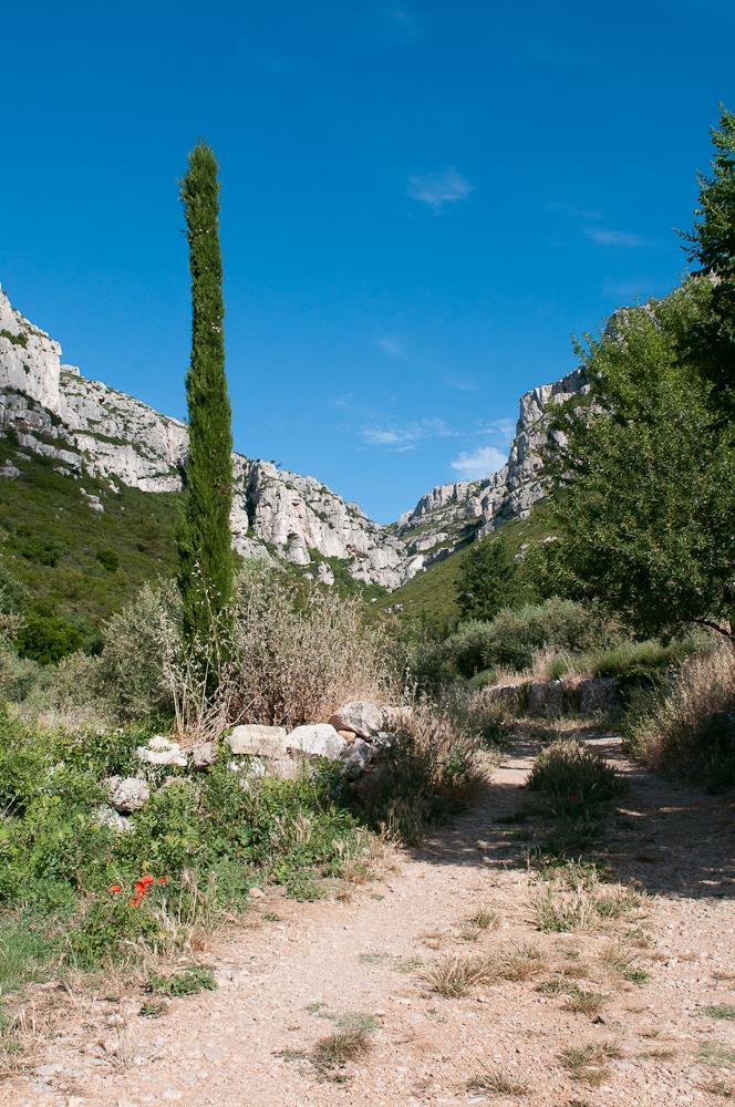 La Safranade, Roquevaire - photo 18