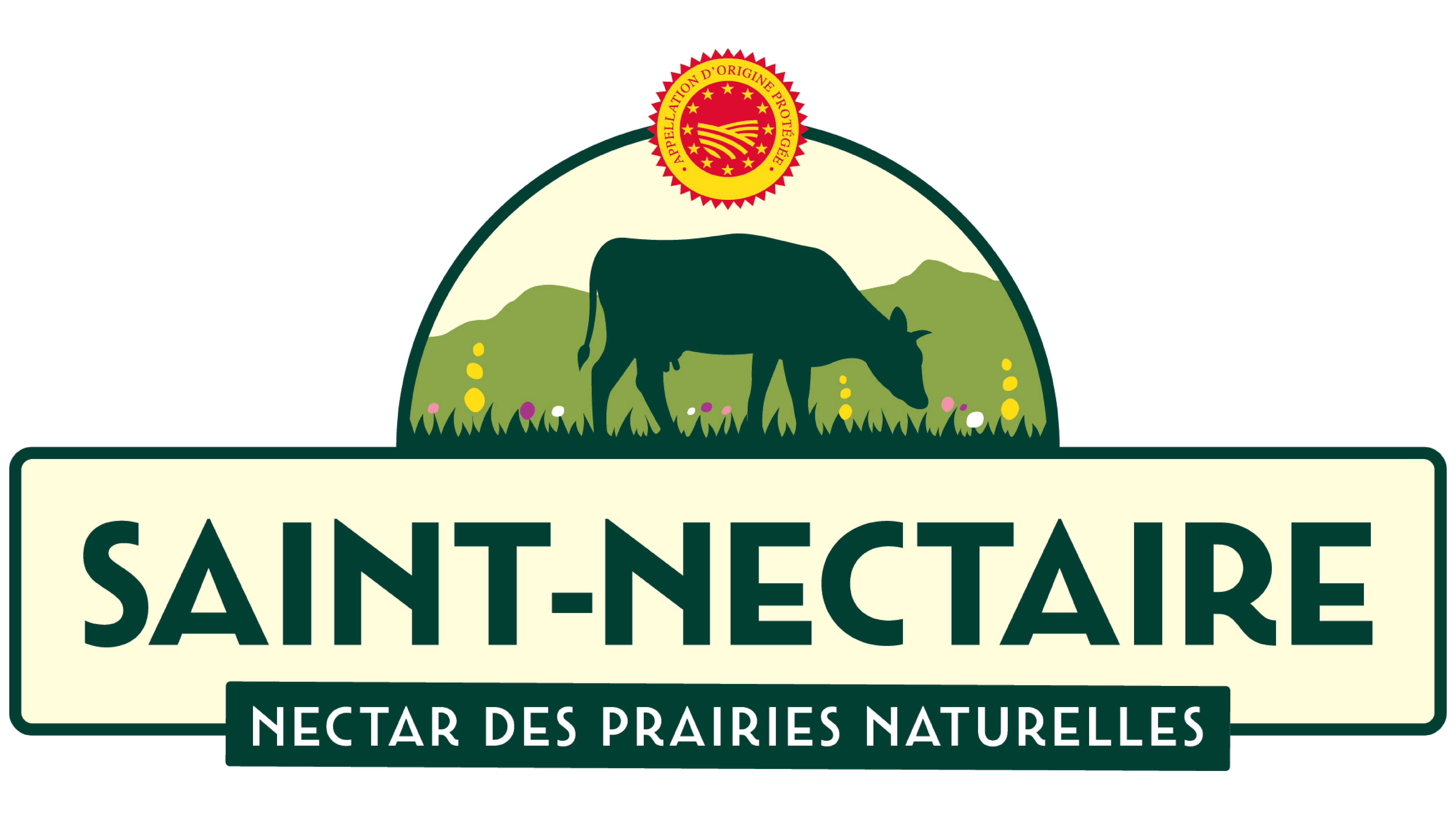 AOP SAINT-NECTAIRE