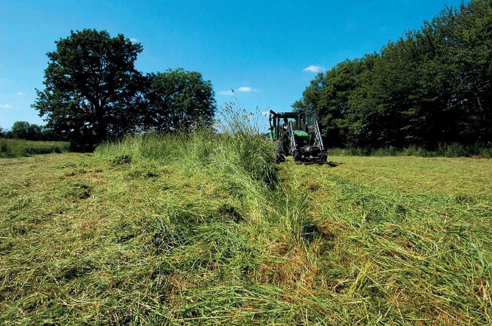 Camping à la Ferme du Paysan