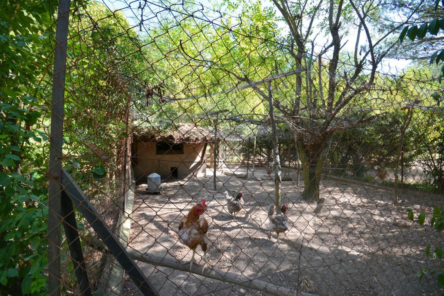 Hémérocalles, Vauvenargues - photo 42