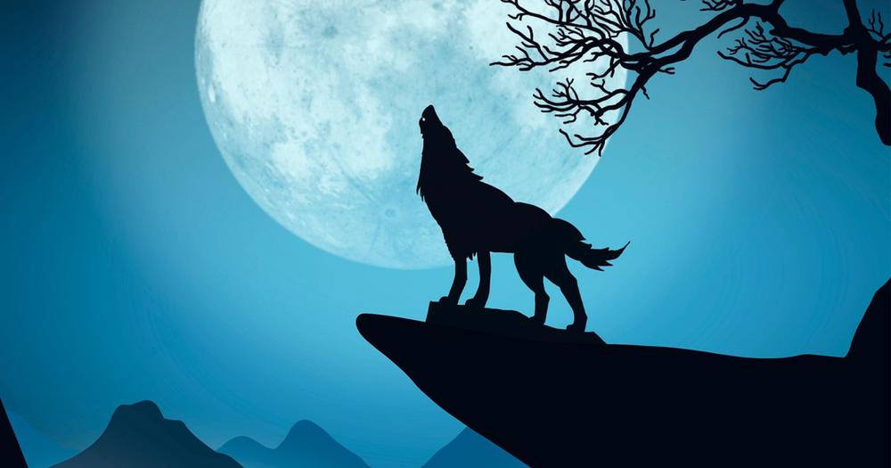 Loup Garou au musée !_Bormes-les-Mimosas