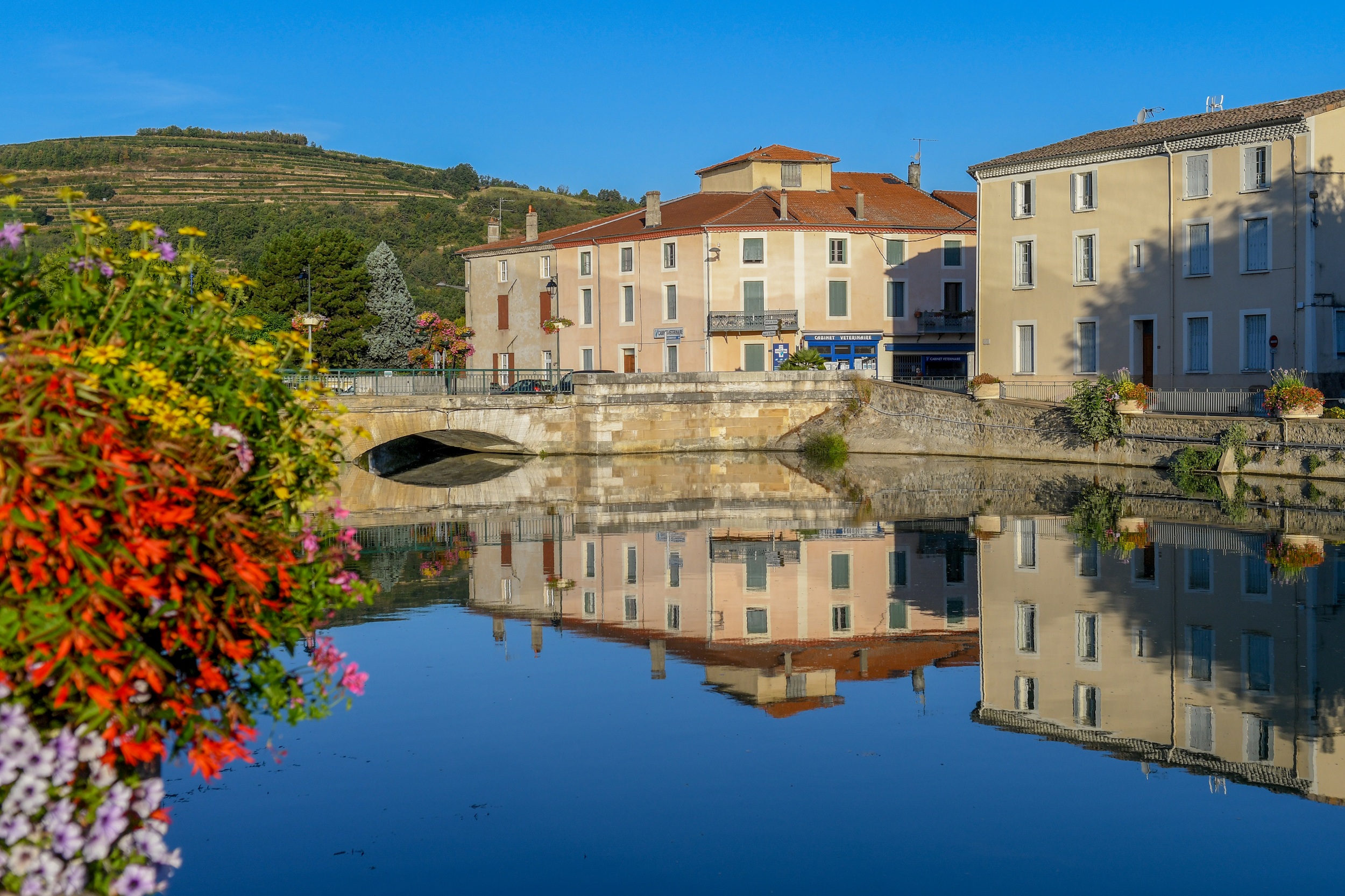 Atelier boucle trail vue sur le Rhône