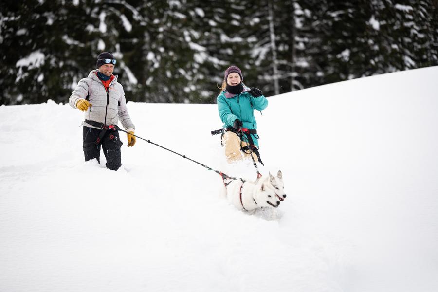 Alpes'Huskies - rando