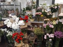 Plaisir Fleuri - Villeneuve-Loubet