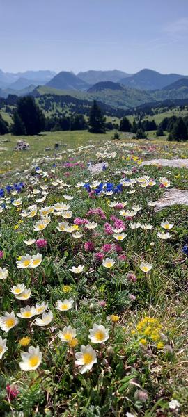 Christian Diénot - accompagnateur en montagne_Saint-Martin-de-Clelles