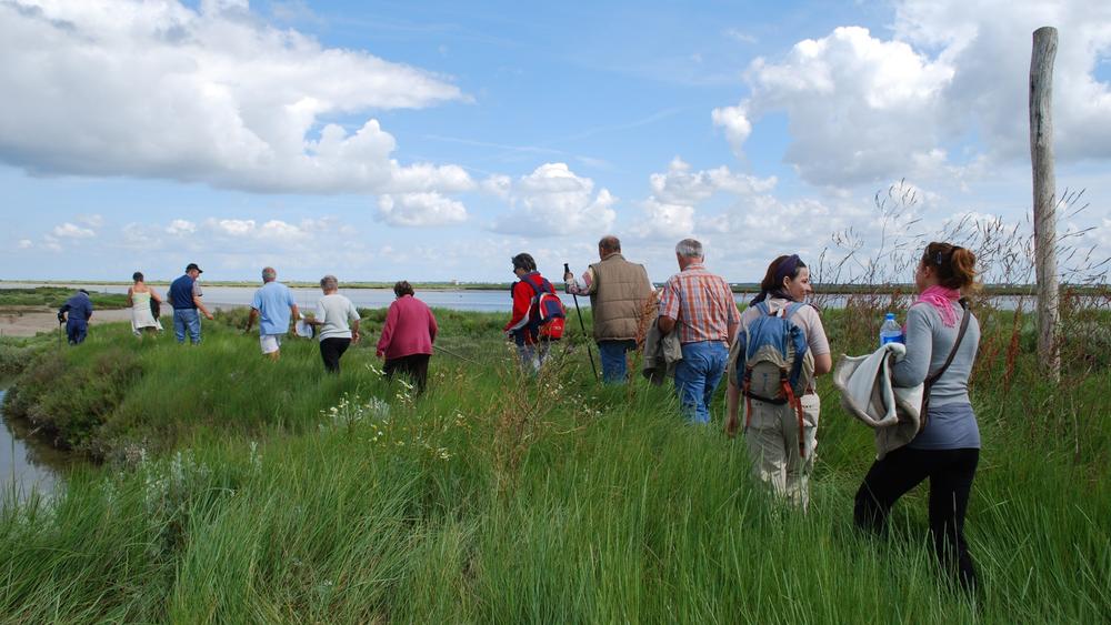 Mornac et les marais de la Seudre