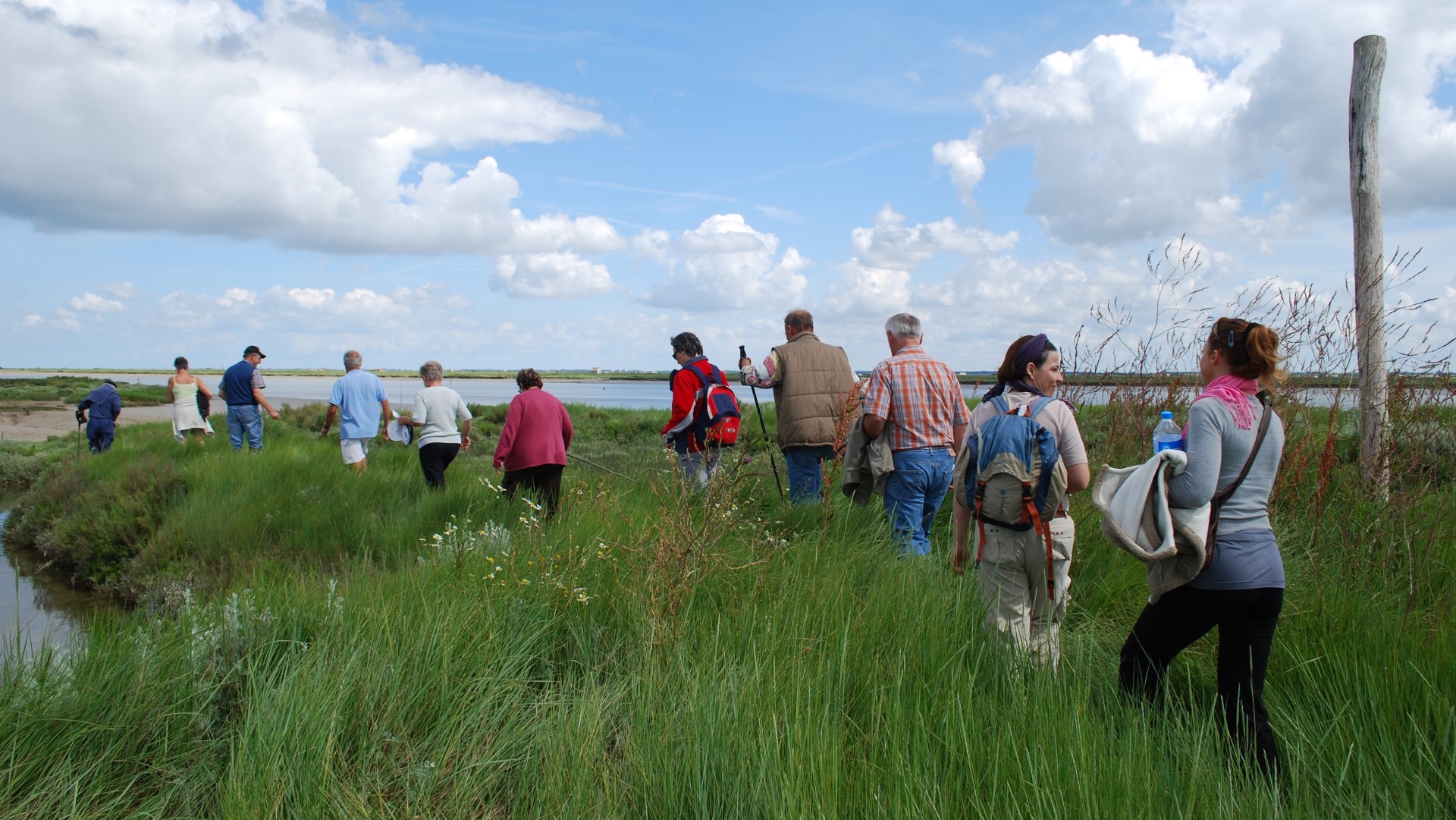 Mornac et les marais de la Seudre