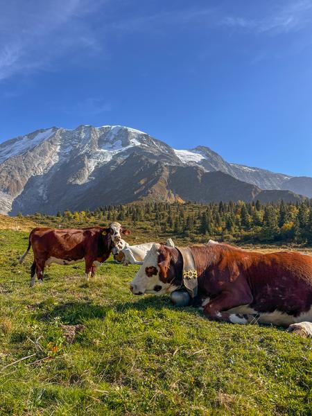 Le Mont-Truc au départ de la Frasse