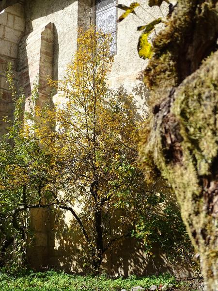 Halloween à l’Abbaye – Chasse au trésor en famille