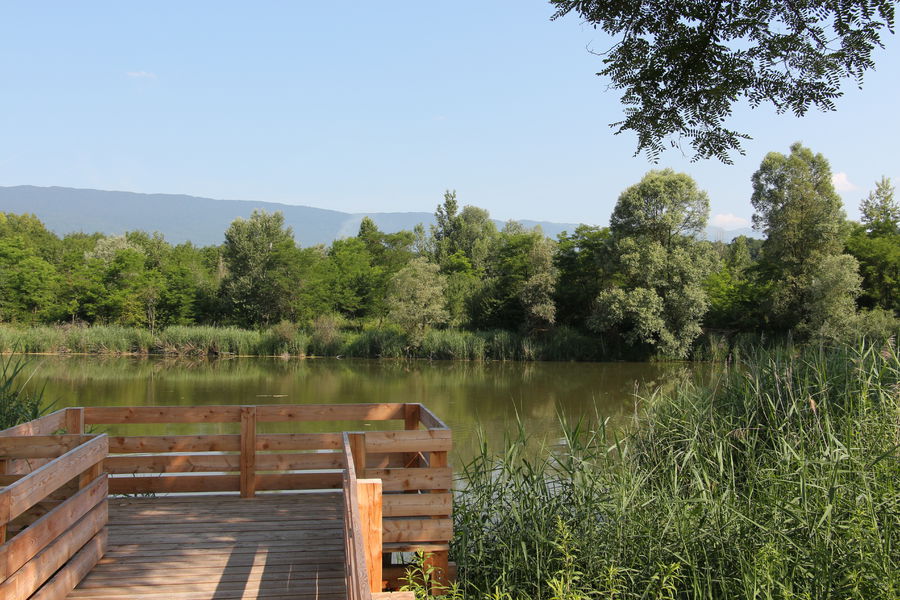 Ponton accessible tous handicaps, marais de l'Etournel