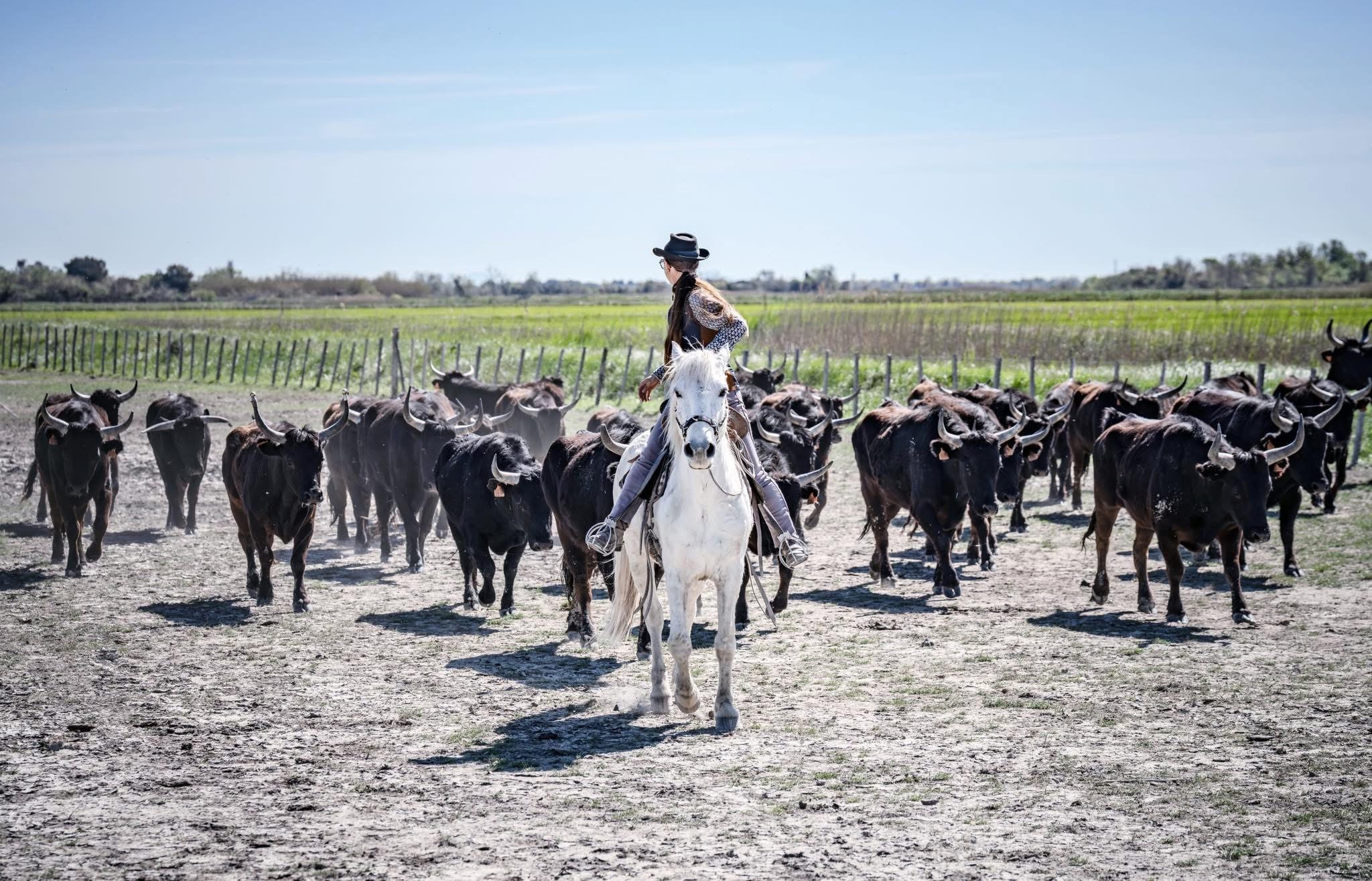 Manade La Grand Ponche