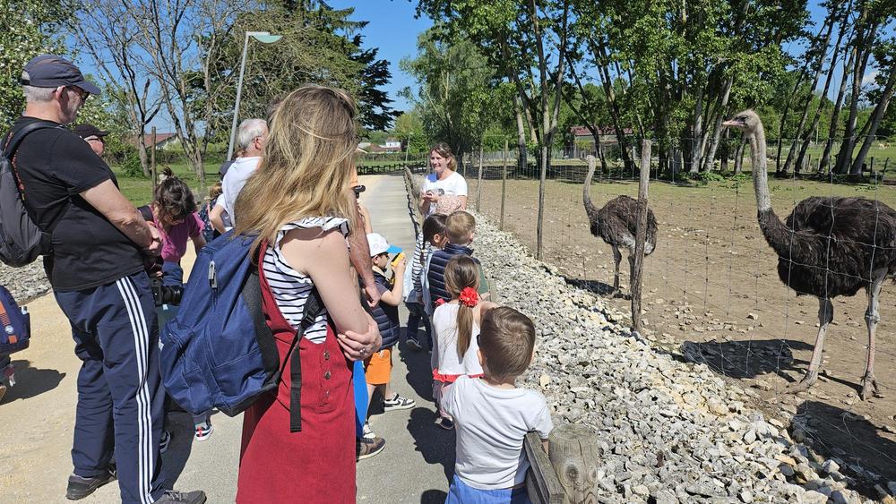 Visite de la ferme pédagogique du Père Louis_Vézeronce-Curtin