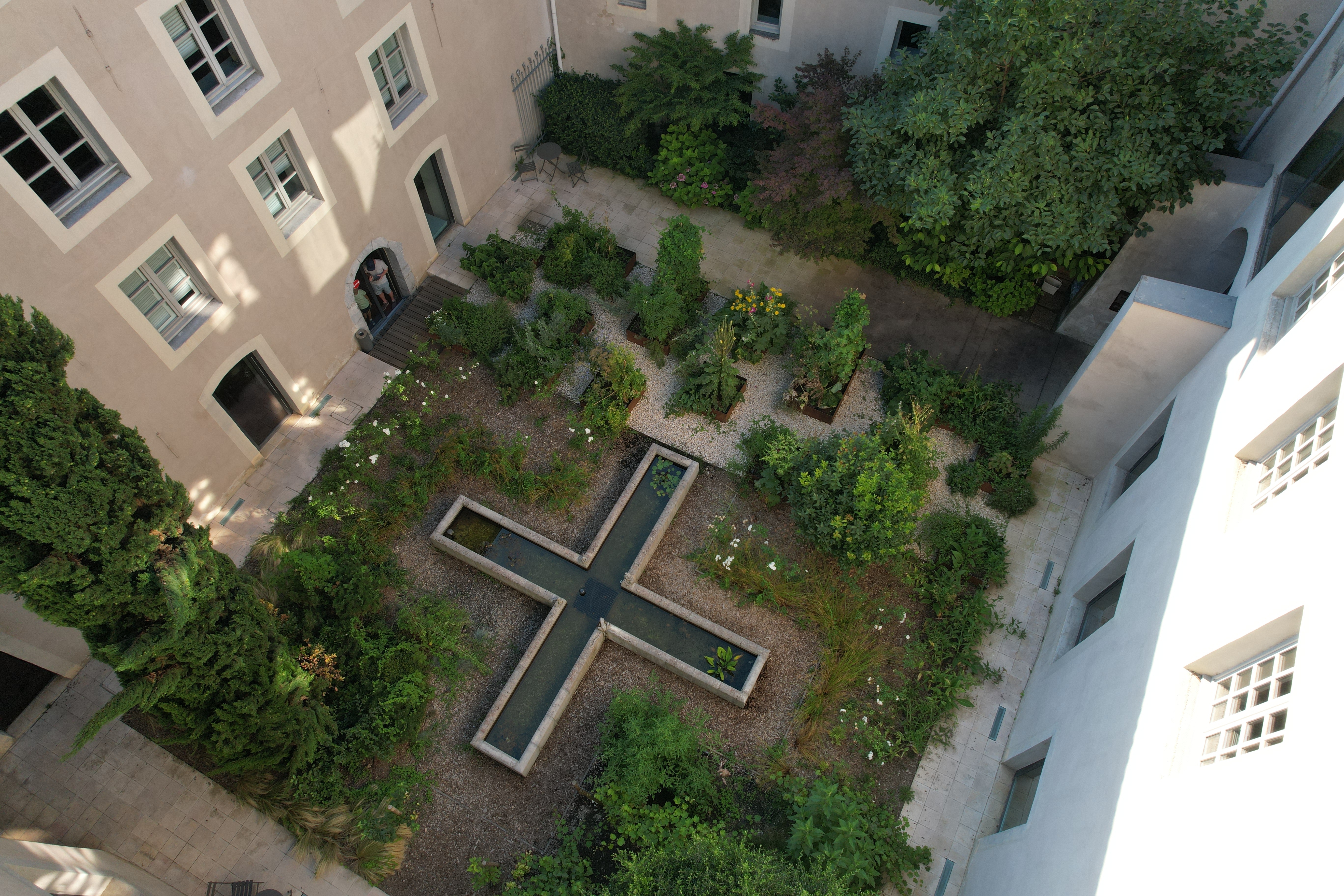 Visite guidée botanique à la découverte des plantes médicinales_Grenoble