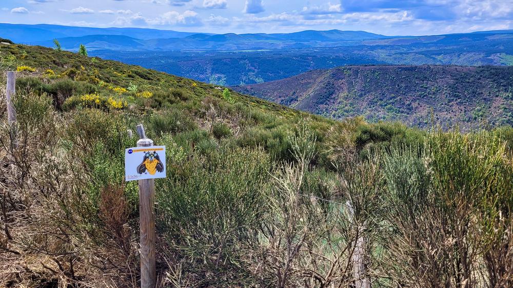 Itinéraire A la découverte des rapaces de Montselgues_Montselgues