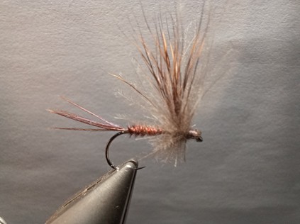Découverte pêche à la mouche
