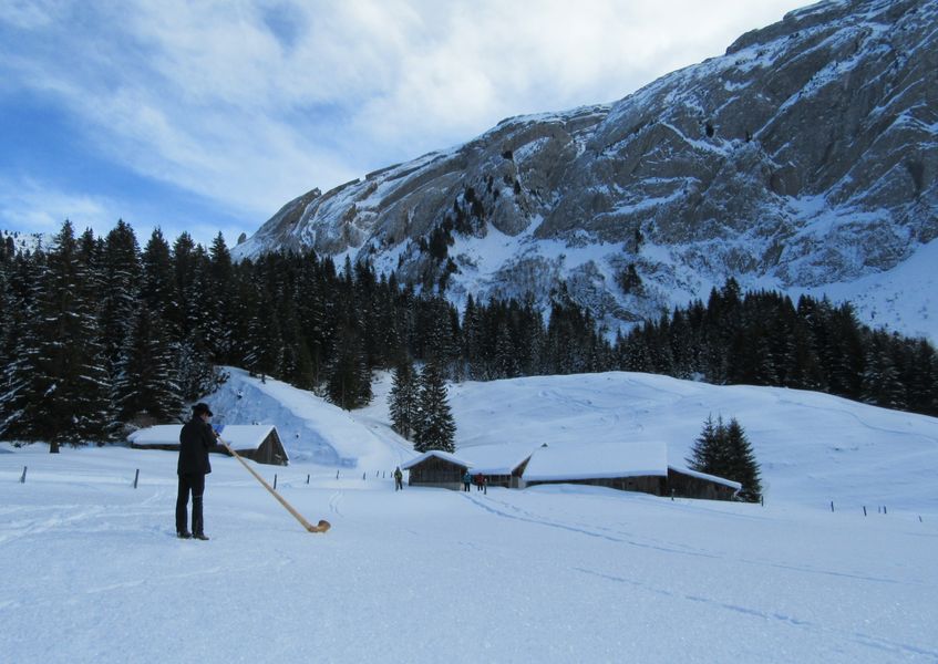 Snowshoeing to the sound of the alphorn - Bernex