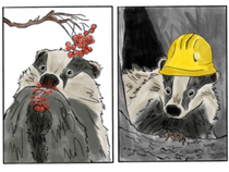 Animation Nature - Vis ta meilleure vie de Blaireau_Chambéon