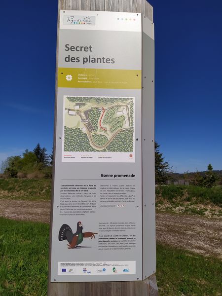 Sentier thématique Secret des plantes