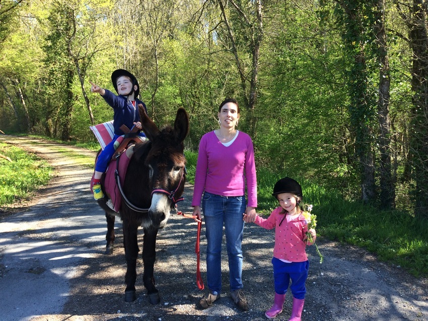 Promenades avec des Ânes