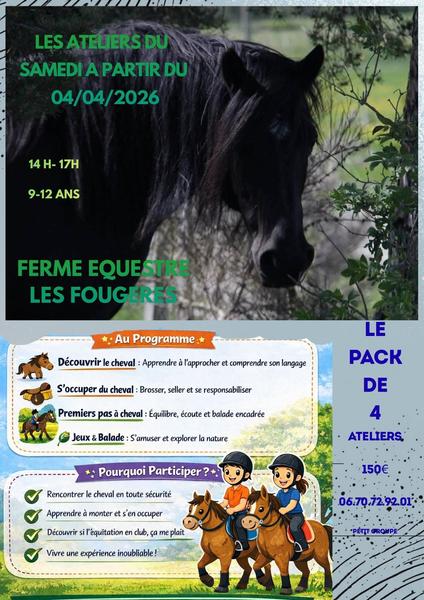 Les ateliers de la Ferme équestre Les Fougères_Usson-en-Forez