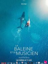 Ciné-nature au Clap - La Baleine et le musicien_Lans-en-Vercors