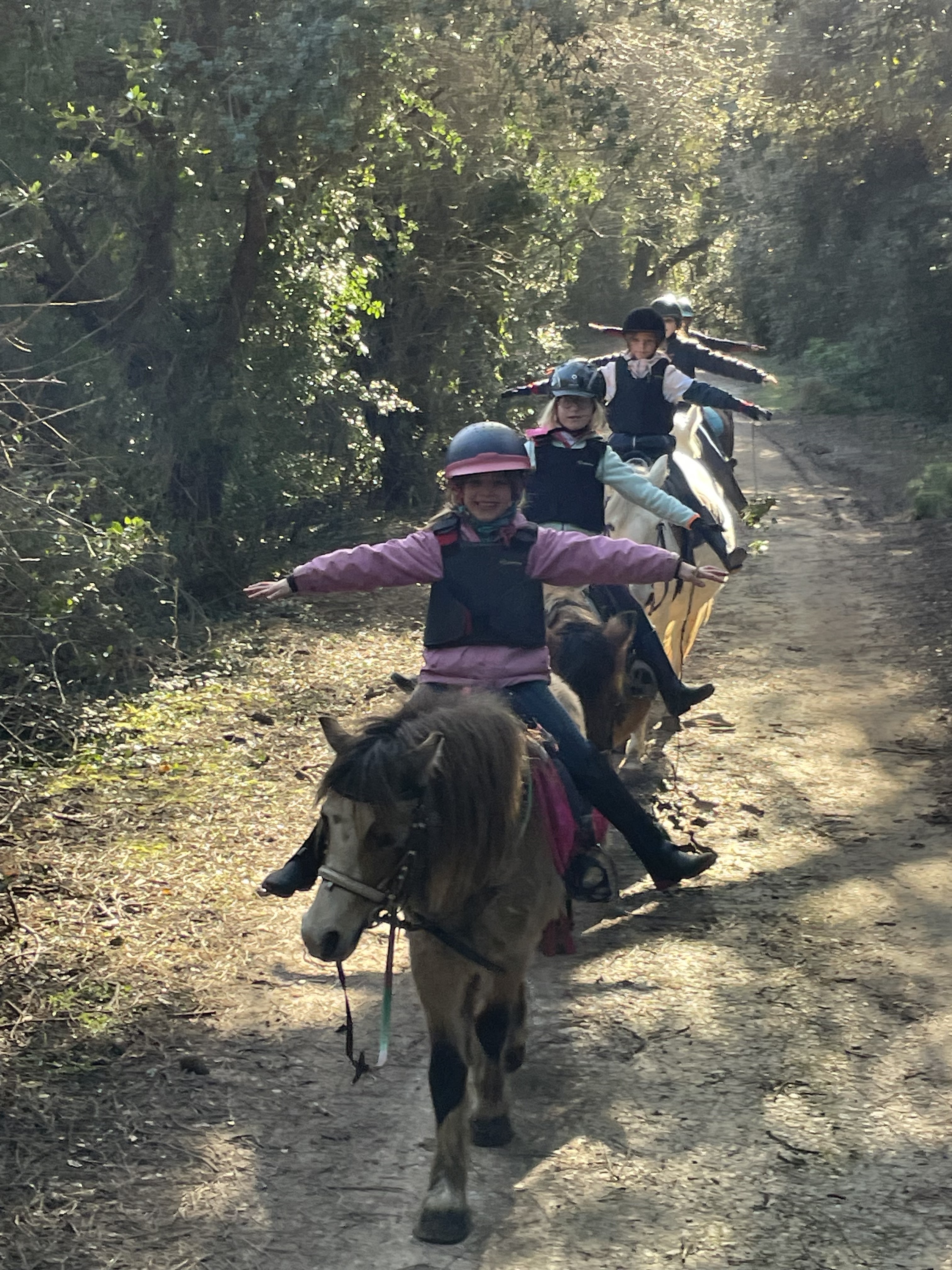 Balade familiale en poney et cheval par les écuries du Moulin Moreau