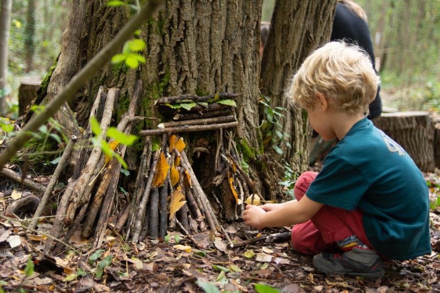 Atelier famille Arbres & cabanes