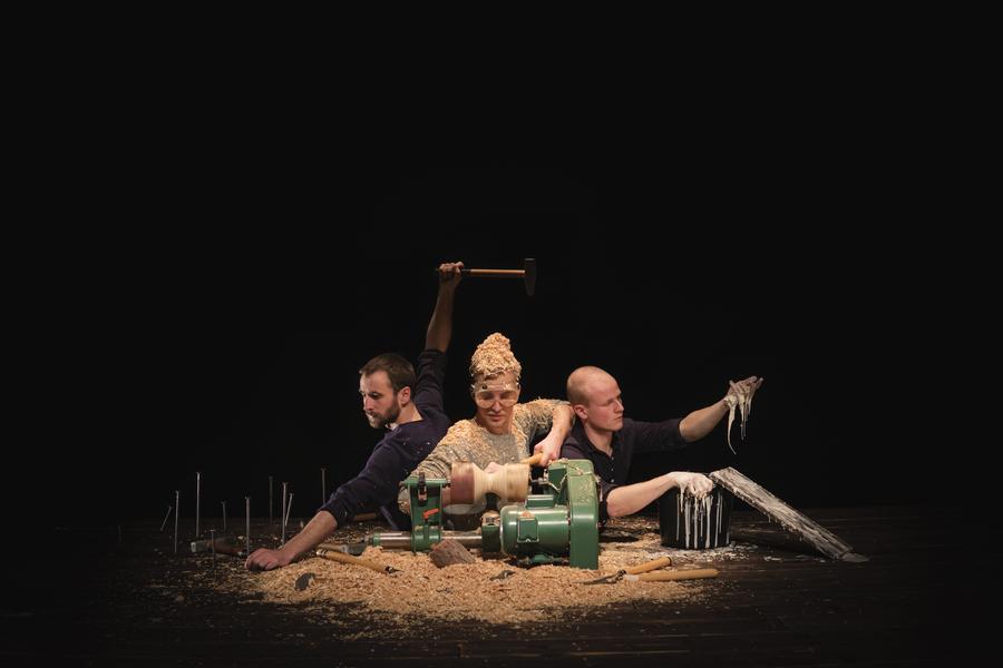 Festival Circa : Sawdust Symphony_Auch