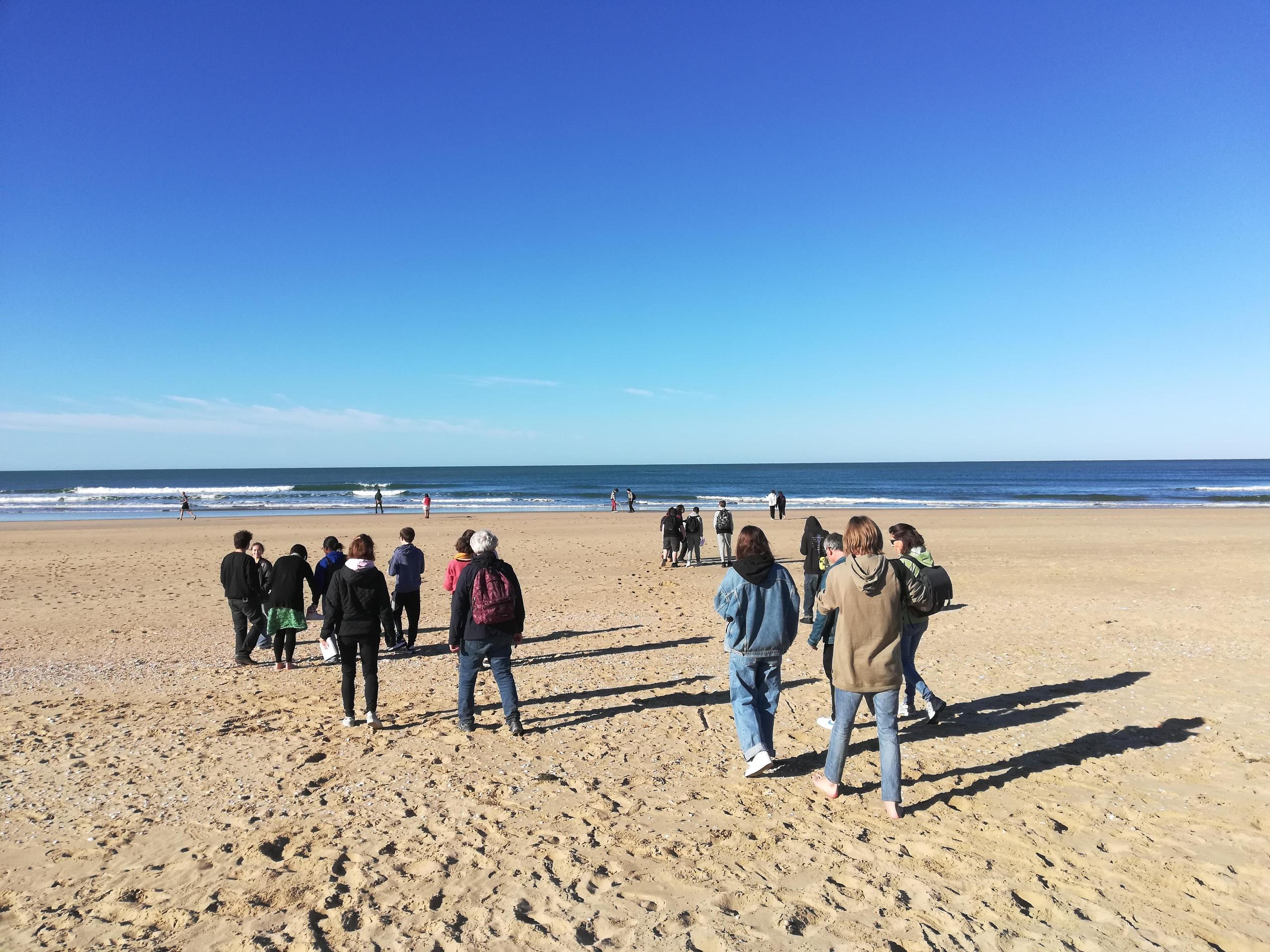 Curieuse laisse de mer