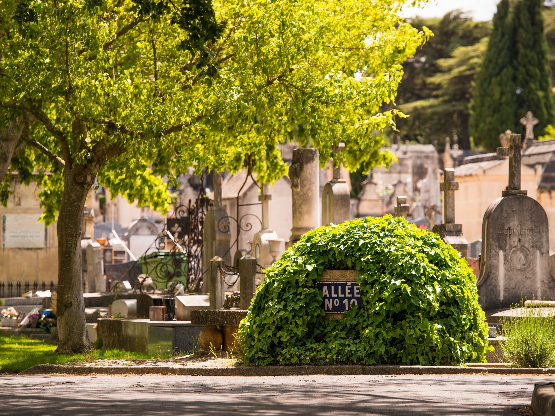 Cimetière Saint-Pierre - photo 3