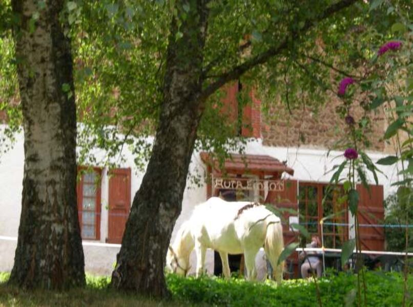 Image illustrative