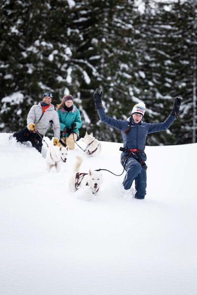Alpes'Huskies - rando
