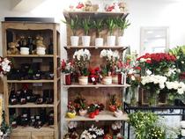 Plaisir Fleuri - Villeneuve-Loubet