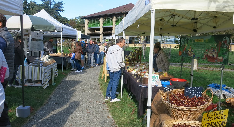 Marché de terroir