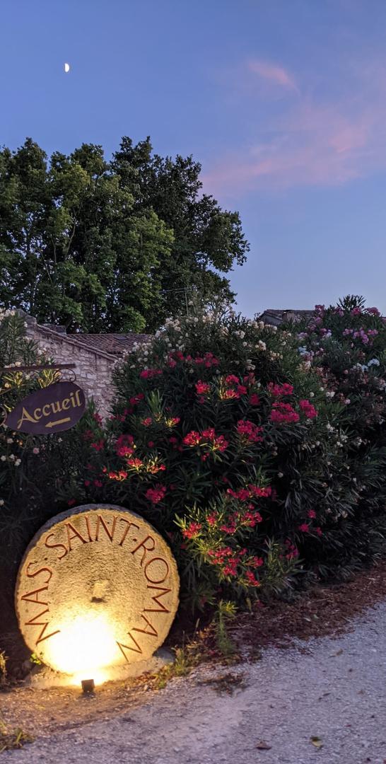 L'Ouliveto, Maussane-les-Alpilles - photo 11