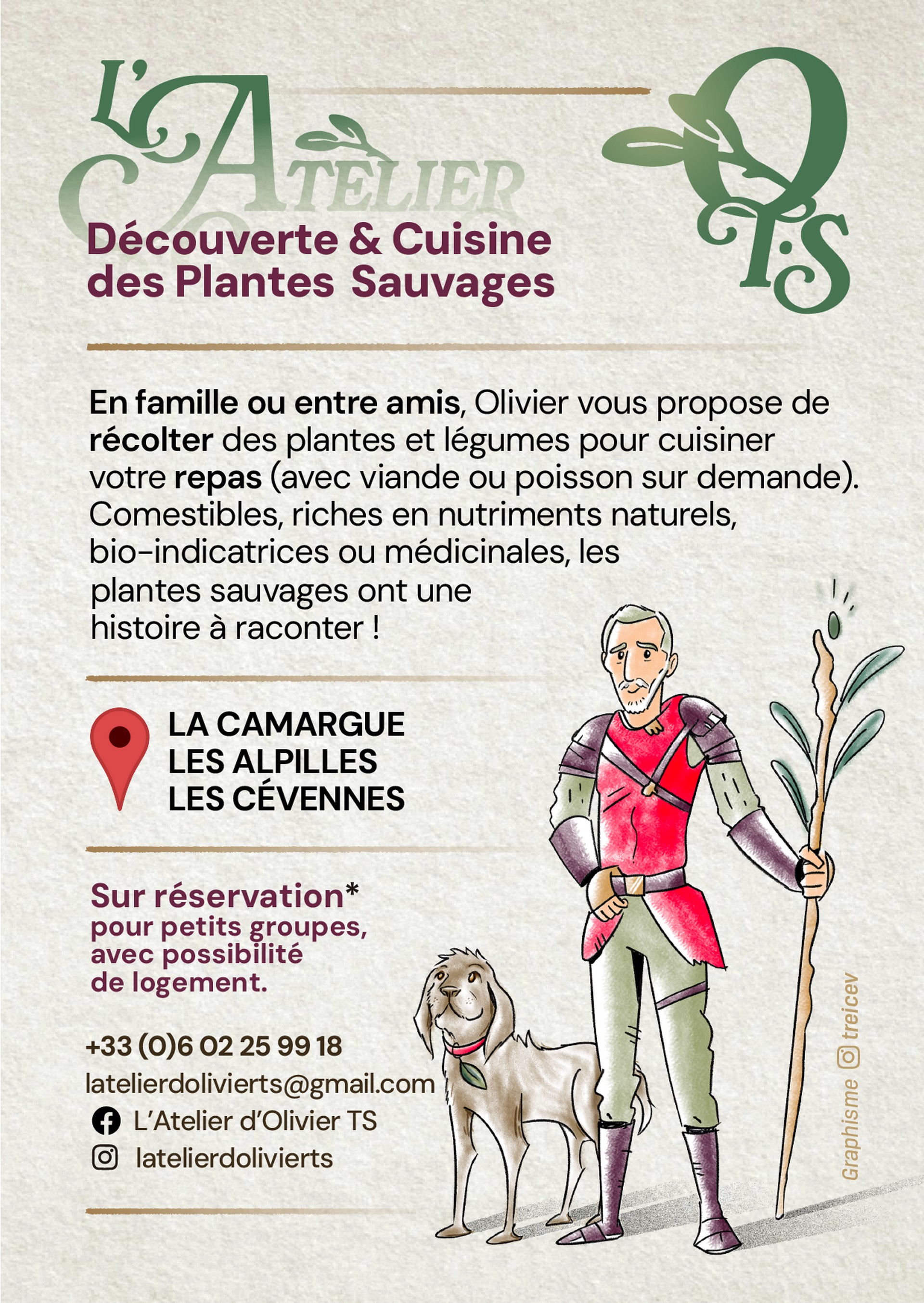 l'Atelier d'Olivier TS - Découverte plantes sauvages, Fontvieille - photo 2