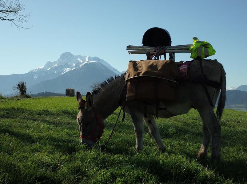 Randonnée et Bivouac avec des Anes - Séjour sans voiture