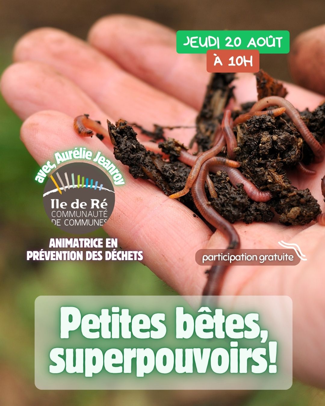 Petites Bêtes, Superpouvoirs !
