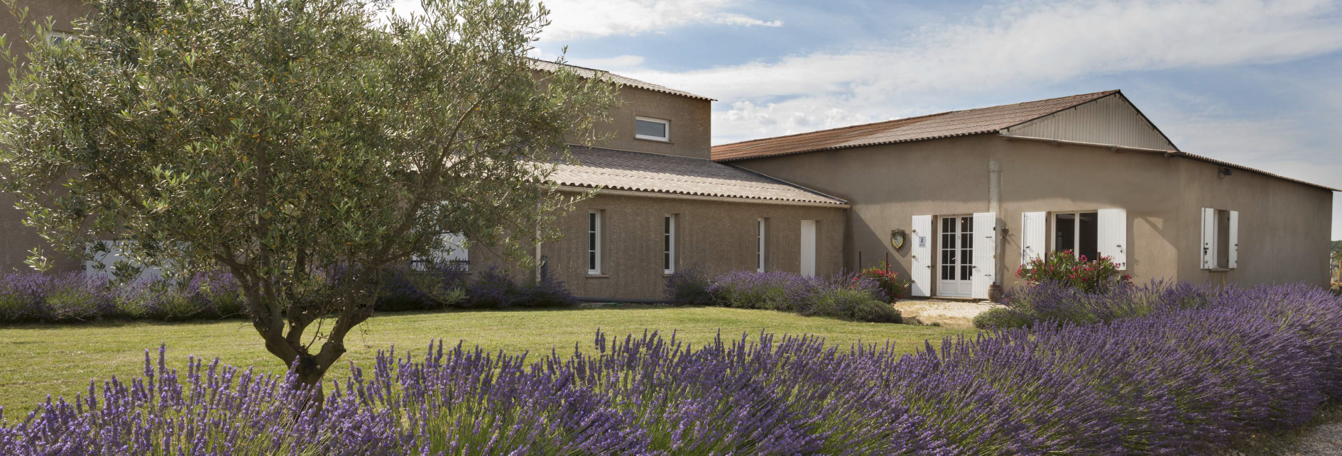 Domaine Bagrau, Rognes - photo 6