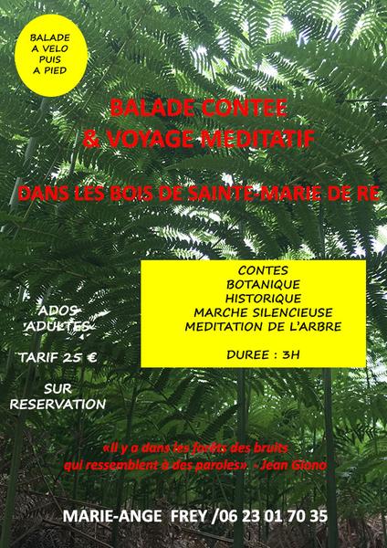 Les balades contées et voyage méditatif dans les bois de Sainte-Marie à pied/vélo