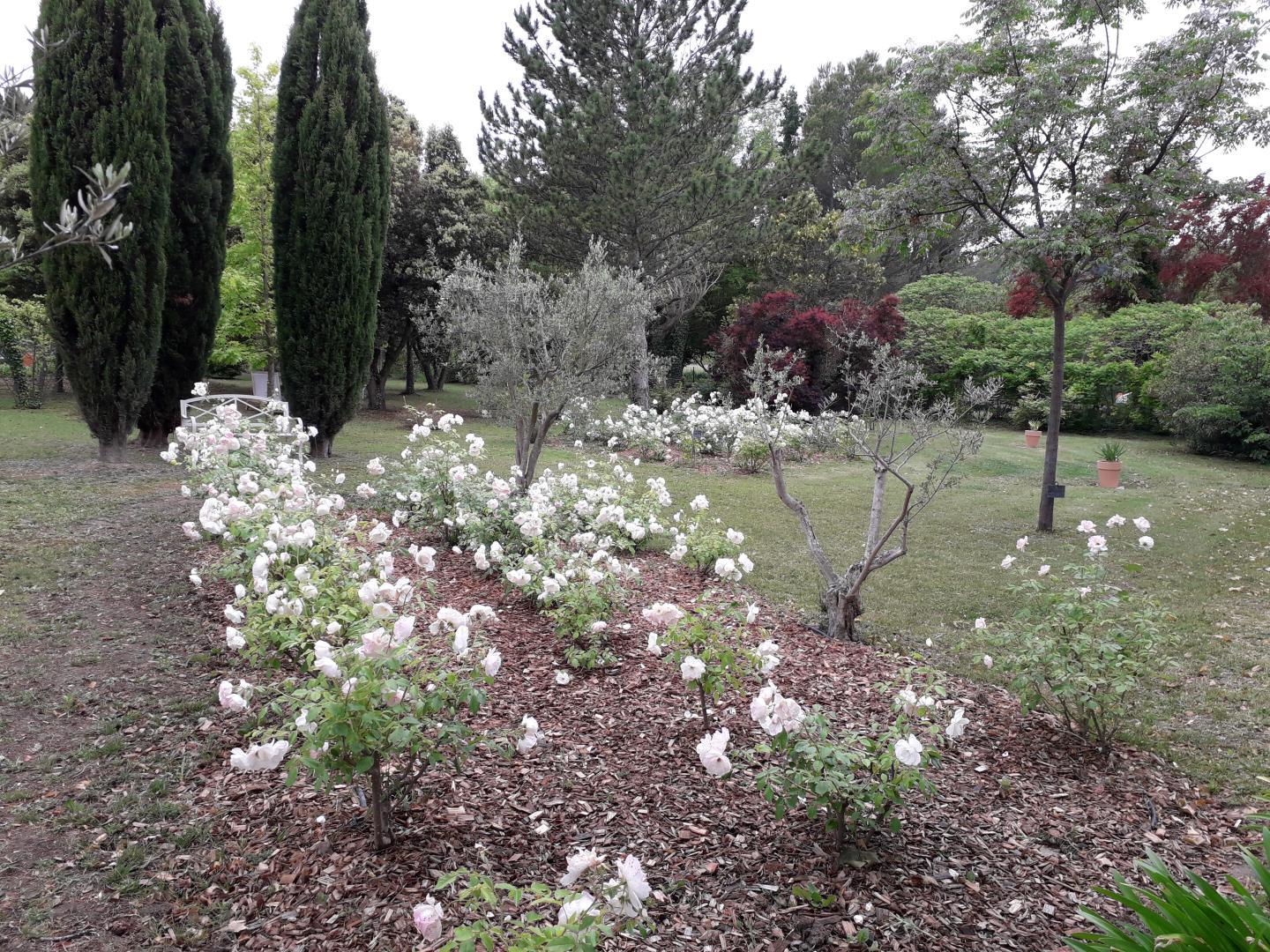 Mas des Princes, Noves - photo 37