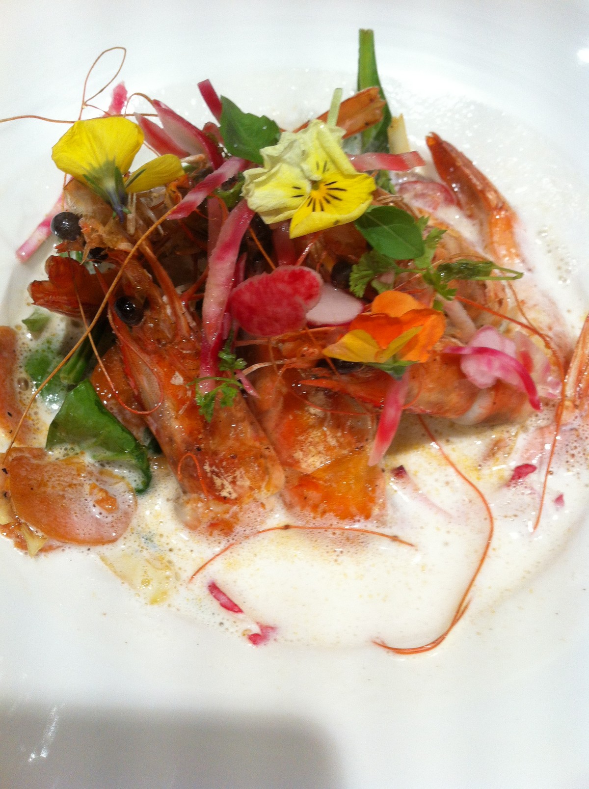 Bistrot des Alpilles, Saint-Rémy-de-Provence - photo 9