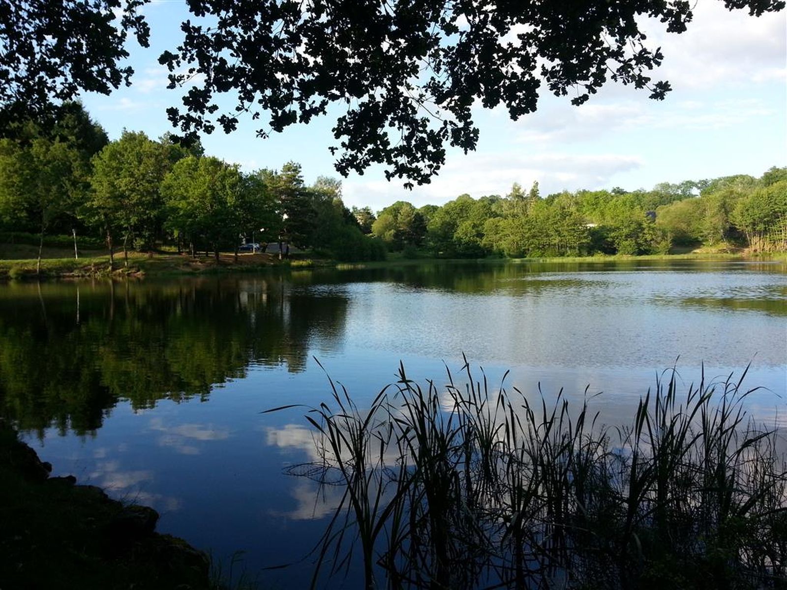 Etang de Lavaurs